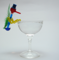 The drinking bird in action!